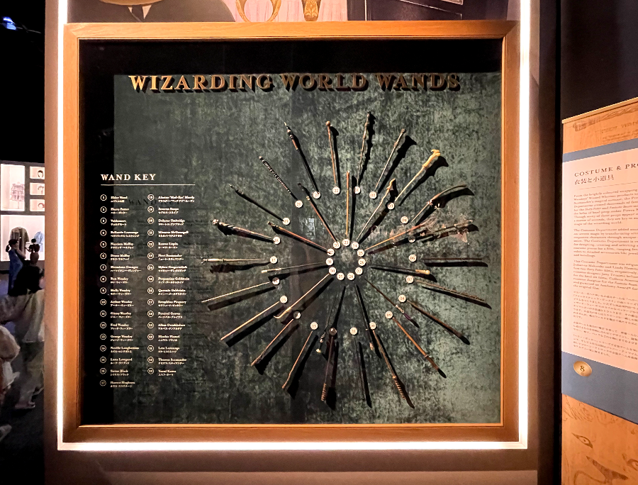 마법사 세계의 지팡이