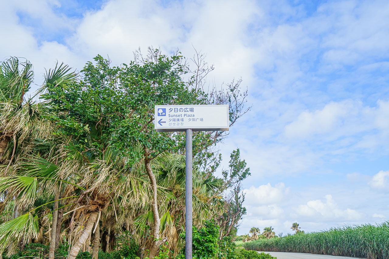 Minamidaito Island: A Remote Pacific Island in Okinawa — original photograph 39