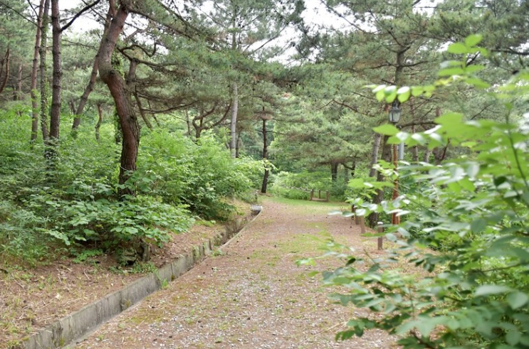  태학산자연휴양림 
