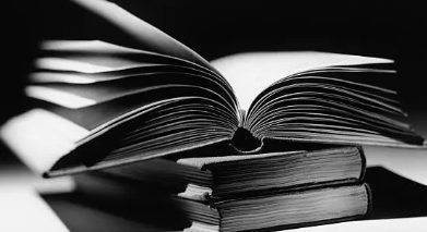 &ldquo;삶을 단단하게 만드는 스토아 철학 책 추천 5선&rdquo;&ndash; 워킹맘을 위한 철학적 인생 안내서