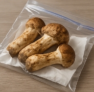 송이버섯 보관방법