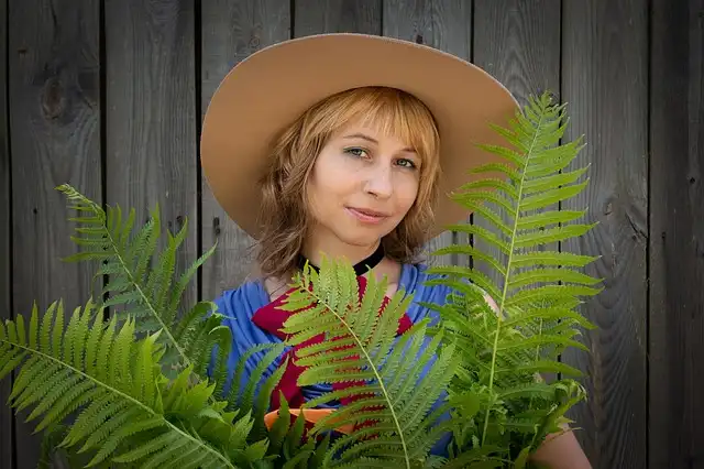 개미는 종자를 어떻게 ‘선택’하는가: 미르메코코리 인식 단서