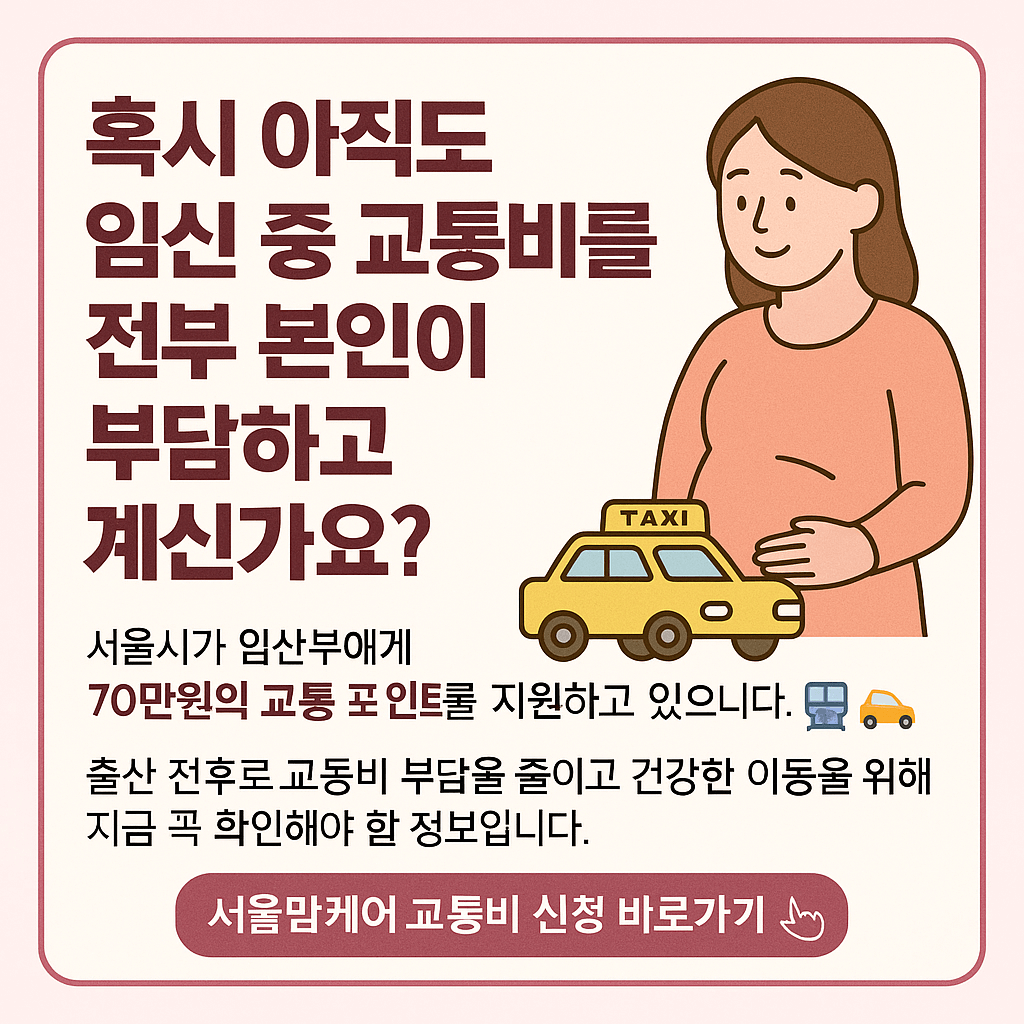서울형 임산부 교통비 지원 사업