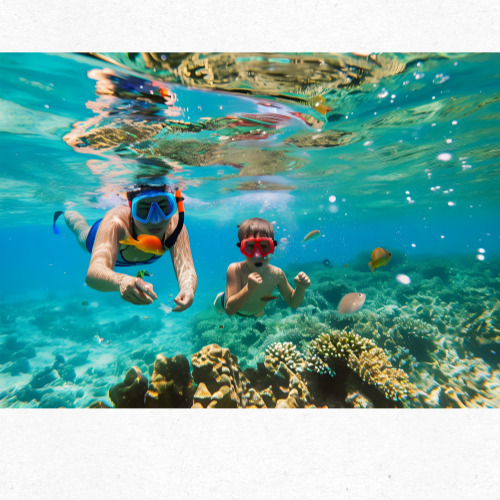 스노클링 즐기는 해변