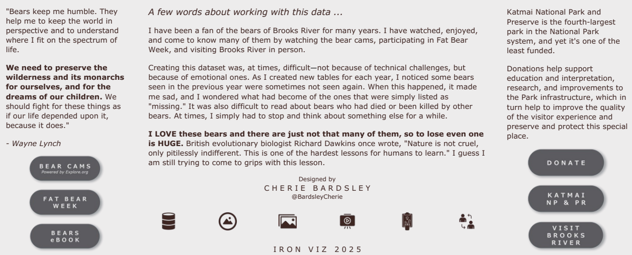 A fan of the bears of Brooks river