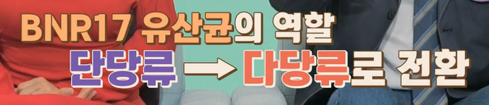 bnr17유산균 효능