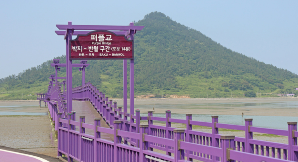 퍼플교