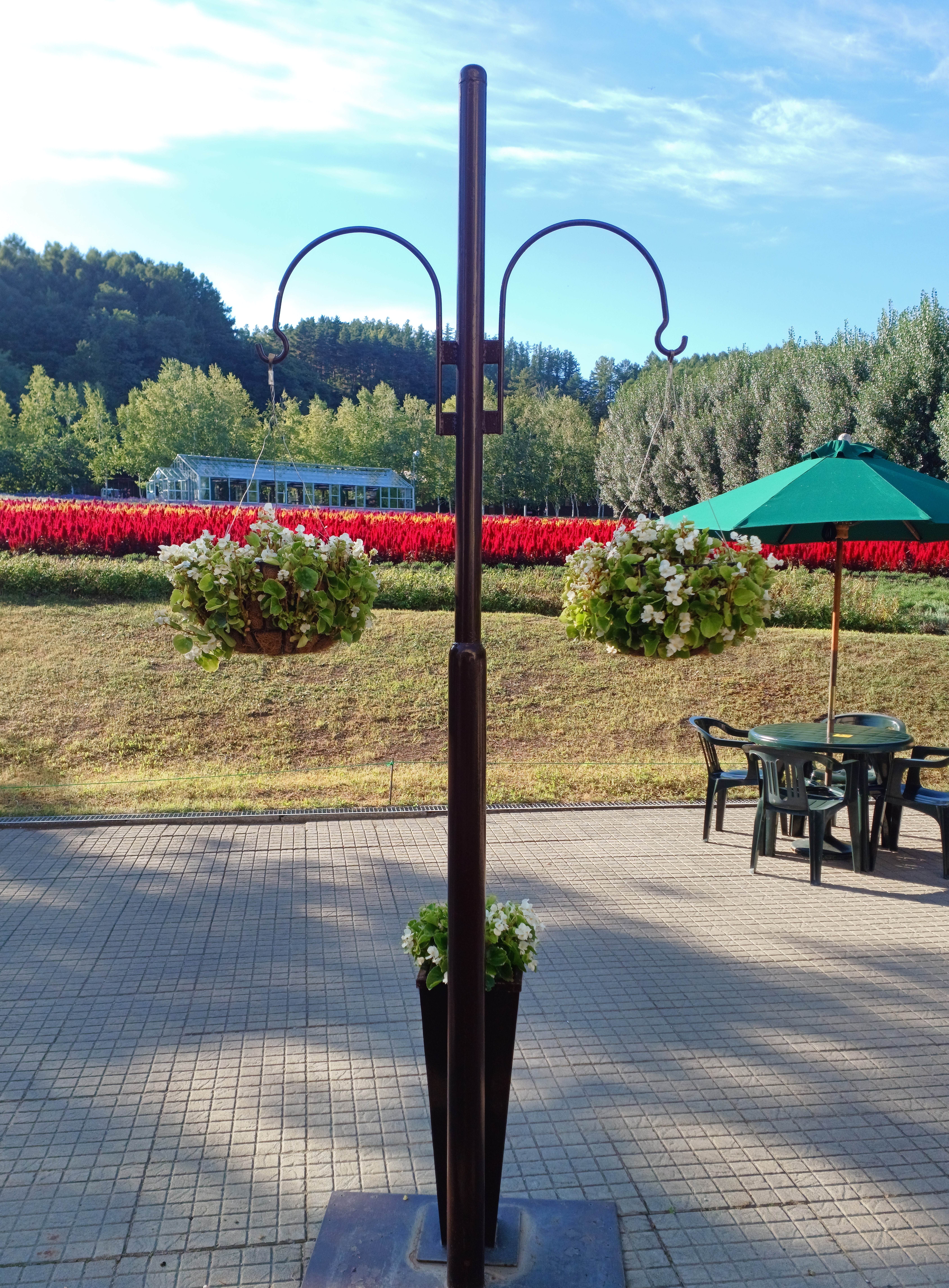 삿포로-비에이-투어-청의호수-2