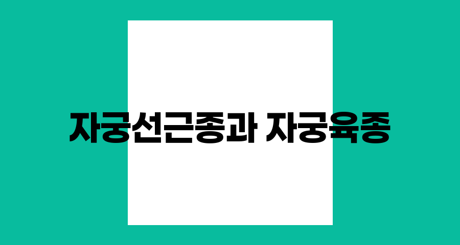 자궁선근종과 자궁육종의 관계