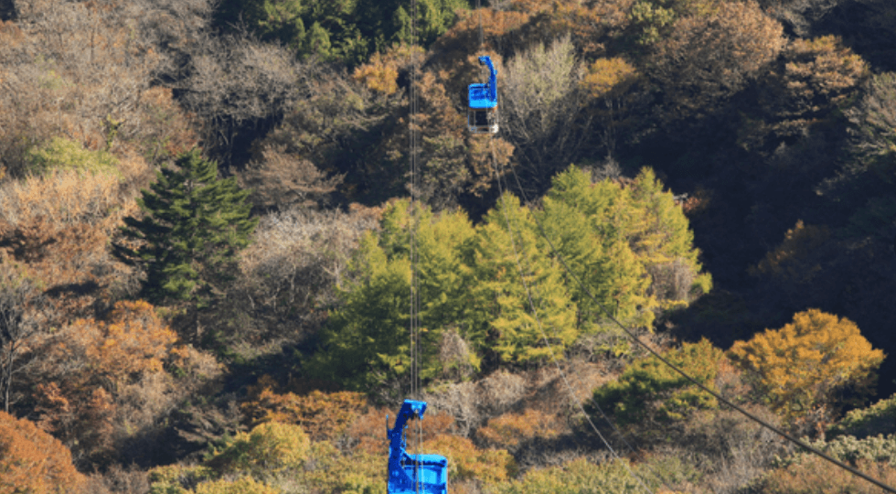 내장산 케이블카 요금 정보&amp;#44; 시간&amp;#44; 식당&amp;#44; 숙소