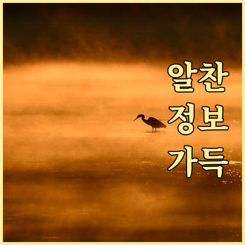 대형폐기물 폐가전 처리, 중구 쌍림동..
