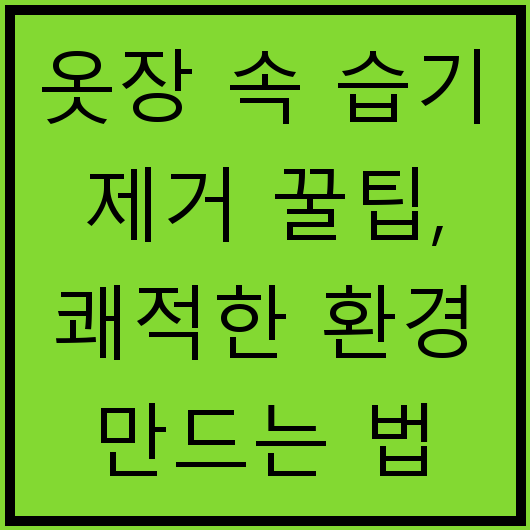 옷장 속 습기 제거 꿀팁, 쾌적한 환경 만드는 법
