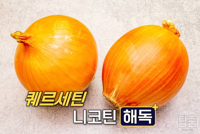 니코틴 배출 음식 양파 니코틴배출기간