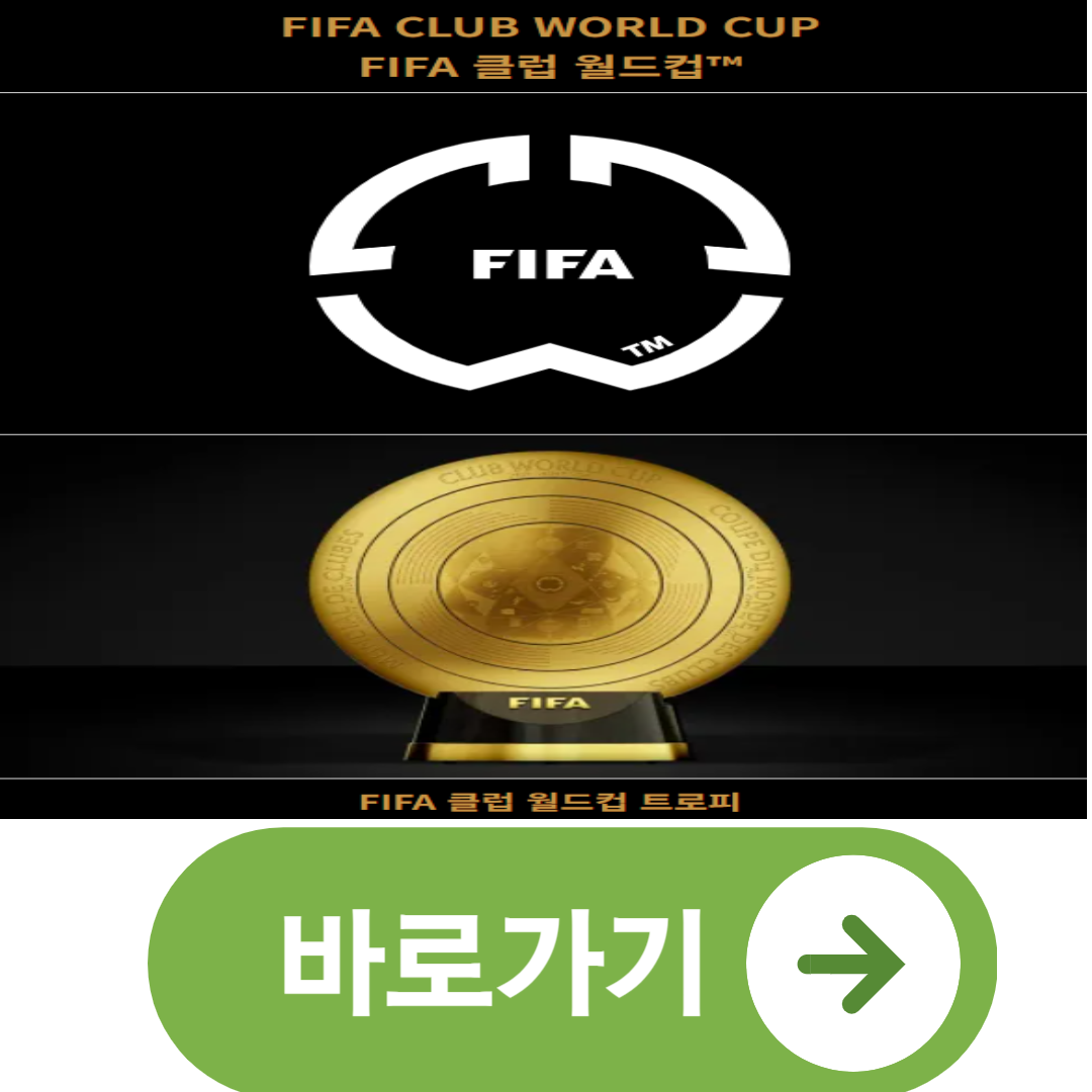 클럽 월드컵 바로가기
