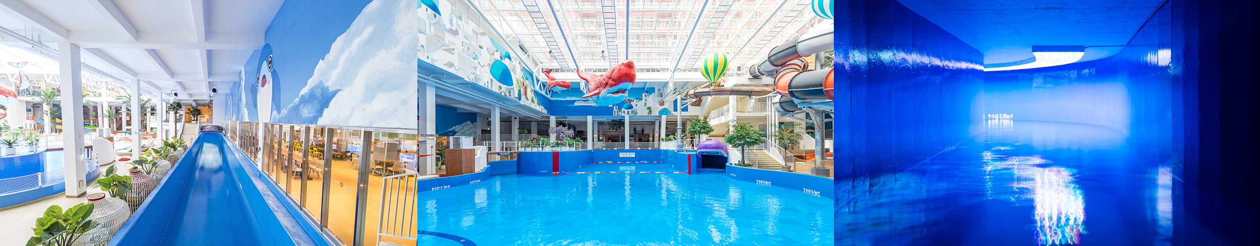 와일드웻리버, 서바이벌웨이브, 스피니스피니