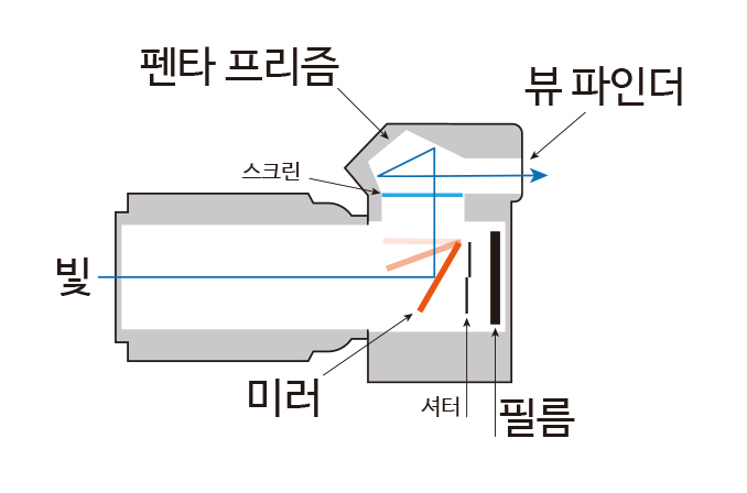 SLR 필름 카메라
