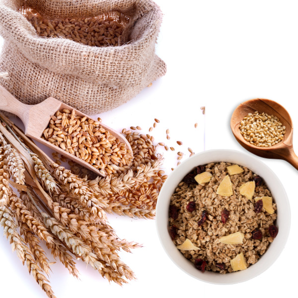 리그난이 풍부한 곡물