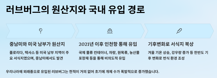 러브버그 수명,원산지,출몰시기,퇴치방법 및 예방방법