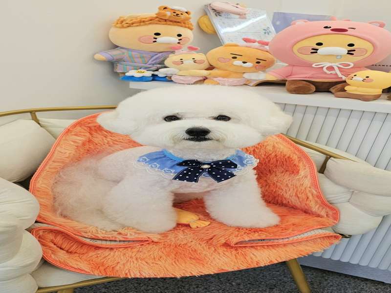 1.2 고객 후기