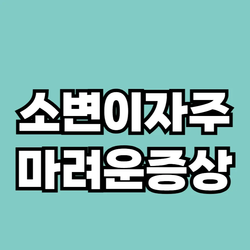 소변이 자주 마려운 증상
