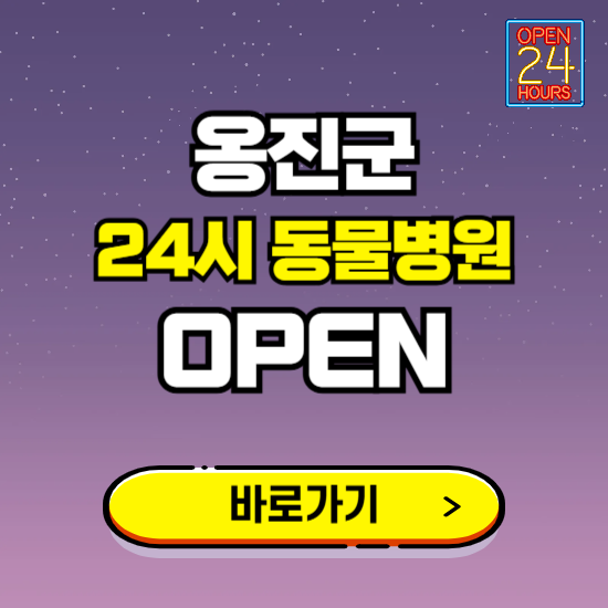 인천 옹진군 24시 동물병원 진료하는 곳 ❘ 설날 휴일 야간 심야 문여는곳 찾기 ❘ 응급진료