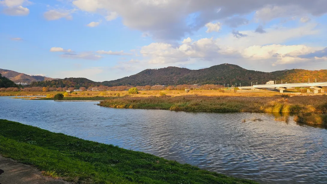 밀양 맥문동 맨발걷기