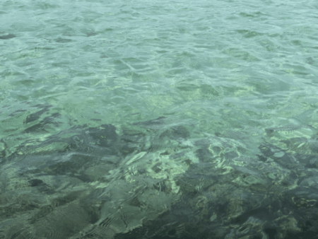 제주도 숨겨진 명소 코난비치