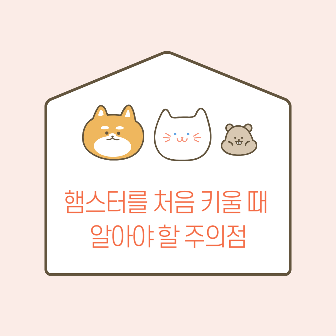 햄스터 키우기 특징, 준비물, 적응, 급여법, 청결 관리