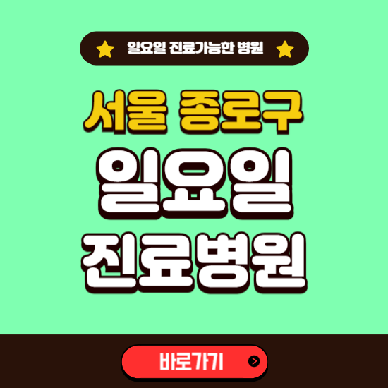 서울 종로구 일요일 진료 가능한 병원 ❘ 주말 문여는 곳 총정리 (소아과, 내과, 안과, 치과, 피부과, 정형외과, 산부인과)