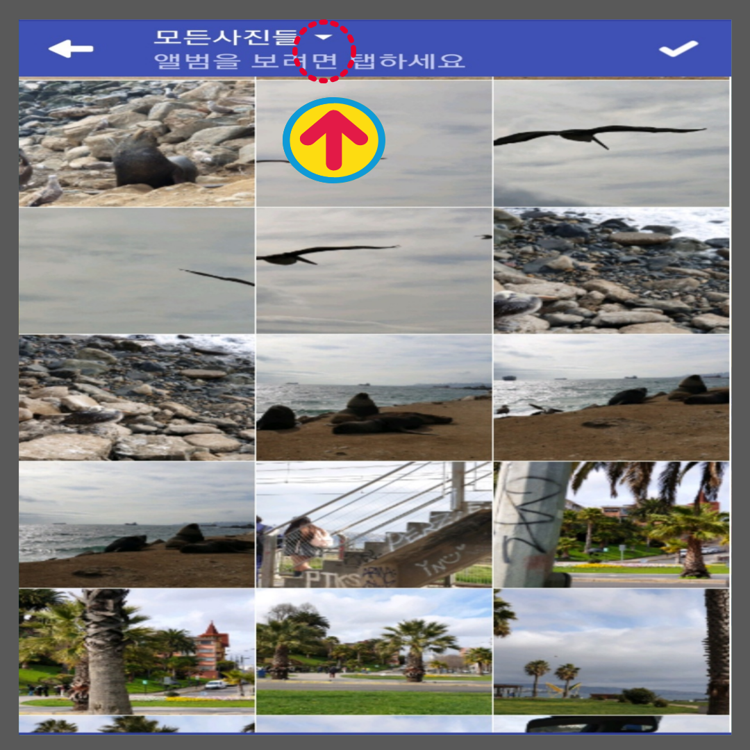 사진편집 앱 슬라이드메시지