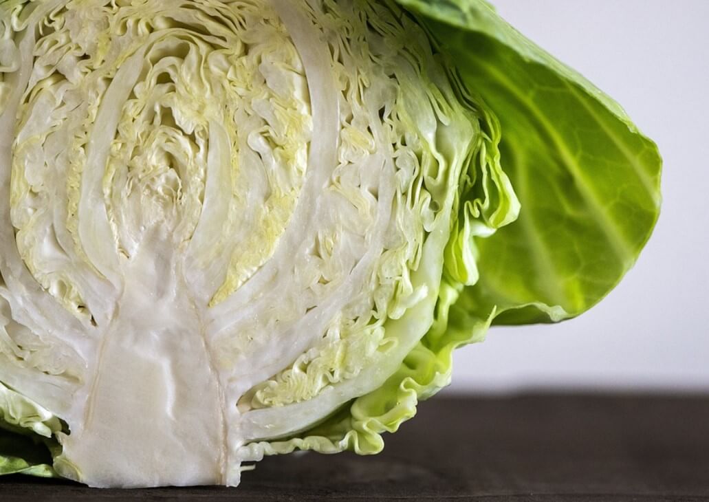 양배추 영양소
양배추다이어트
양배추 식이섬유
양배추 다이어트효과
양배추 다이어트 효능
양배추 다이어트 체중감량