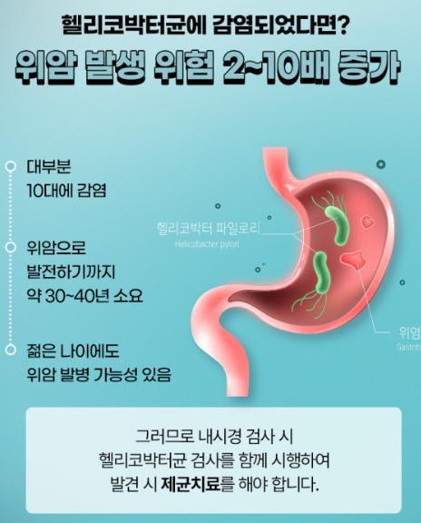 헬리코박터균 이미지