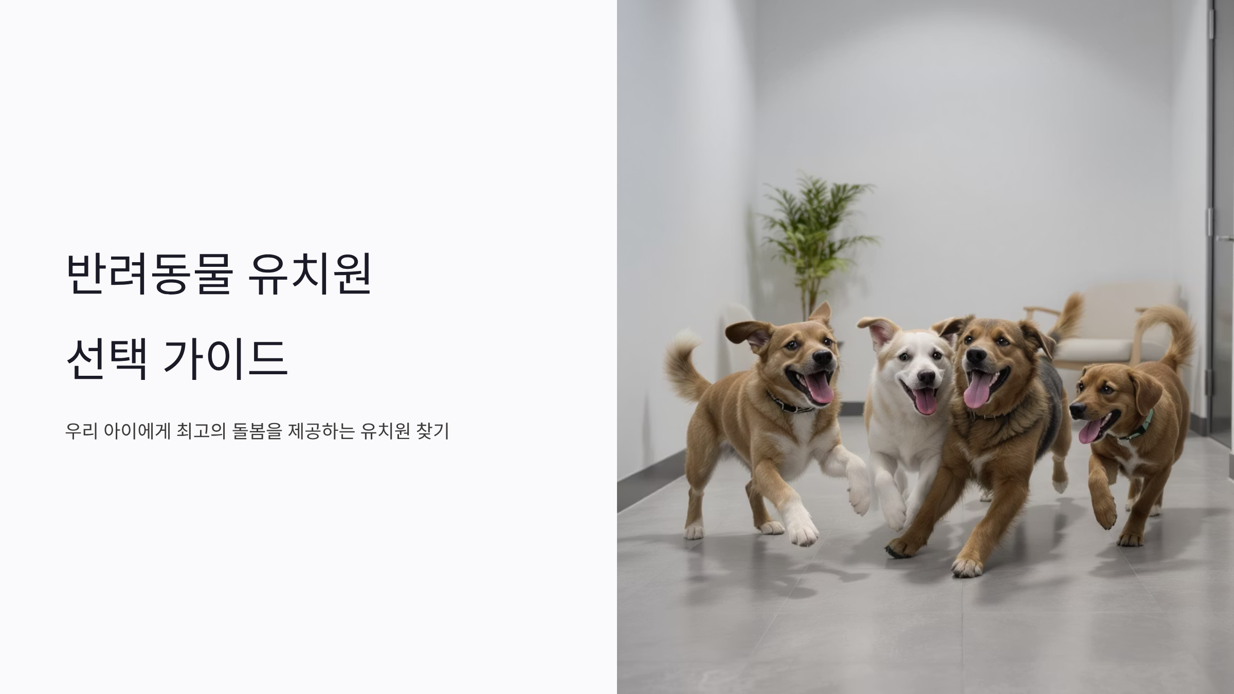 반려동물 유치원 고르는 핵심 체크리스트