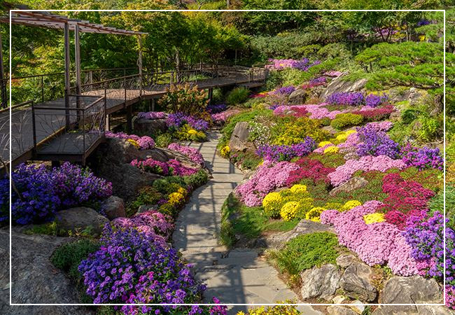 화담숲 이미지 / 출처: 화담숲 홈페이지