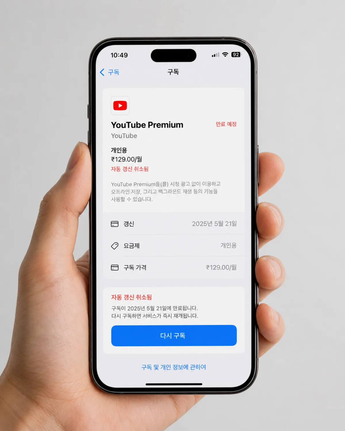 아이폰 유튜브 프리미엄 인도 구독 가격 갱신일 확인 화면