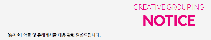 송지효 악플 및 유해게시글에 소속사 대응