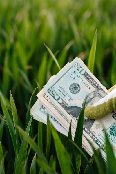 중위 소득 100% 기준표 2025 최신 업데이트