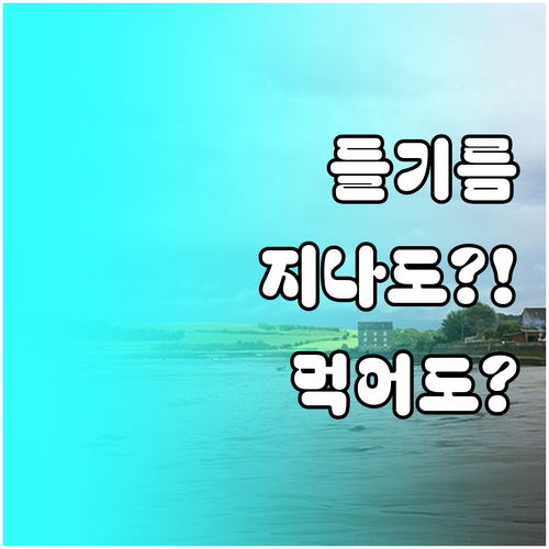 들기름 유통기한 지나도 먹을 수 있을..