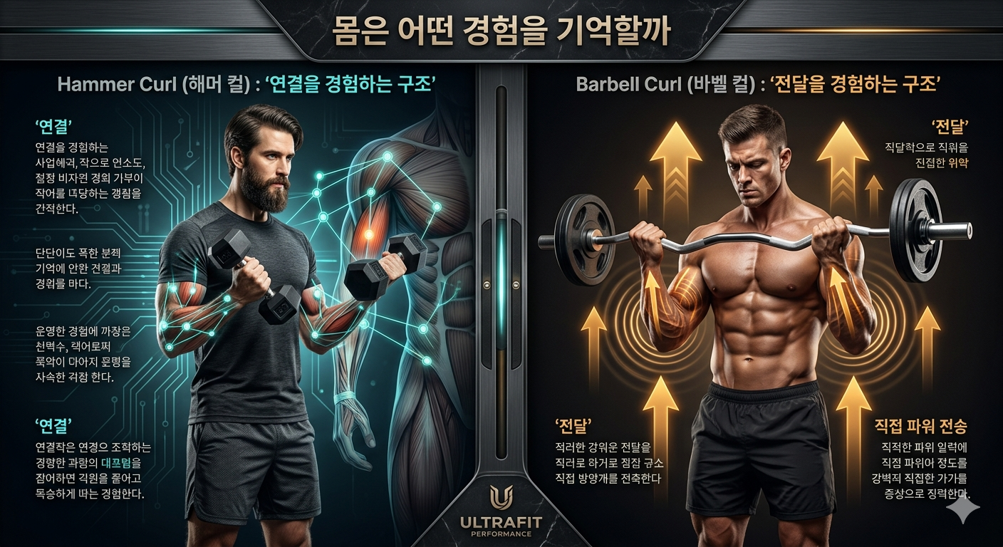 몸은 어떤 경험을 기억할까