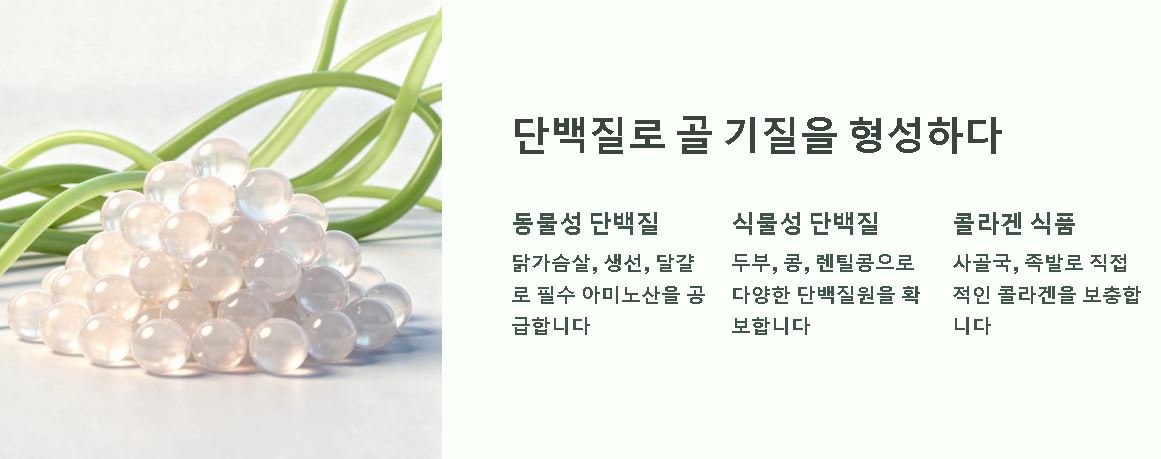 골절에 좋은 음식