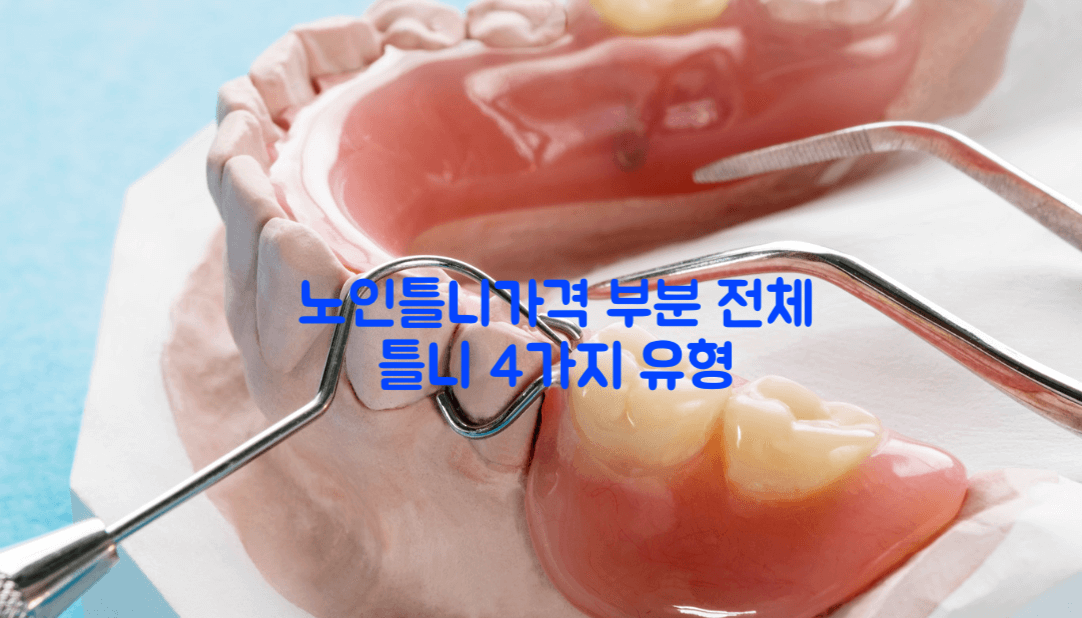 노인틀니가격