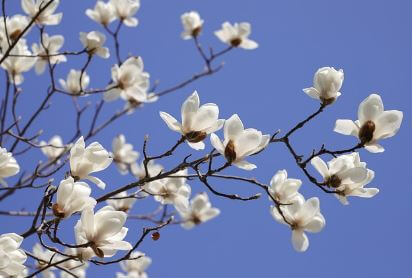 비염의-원인과-자연-치유의-중요성2