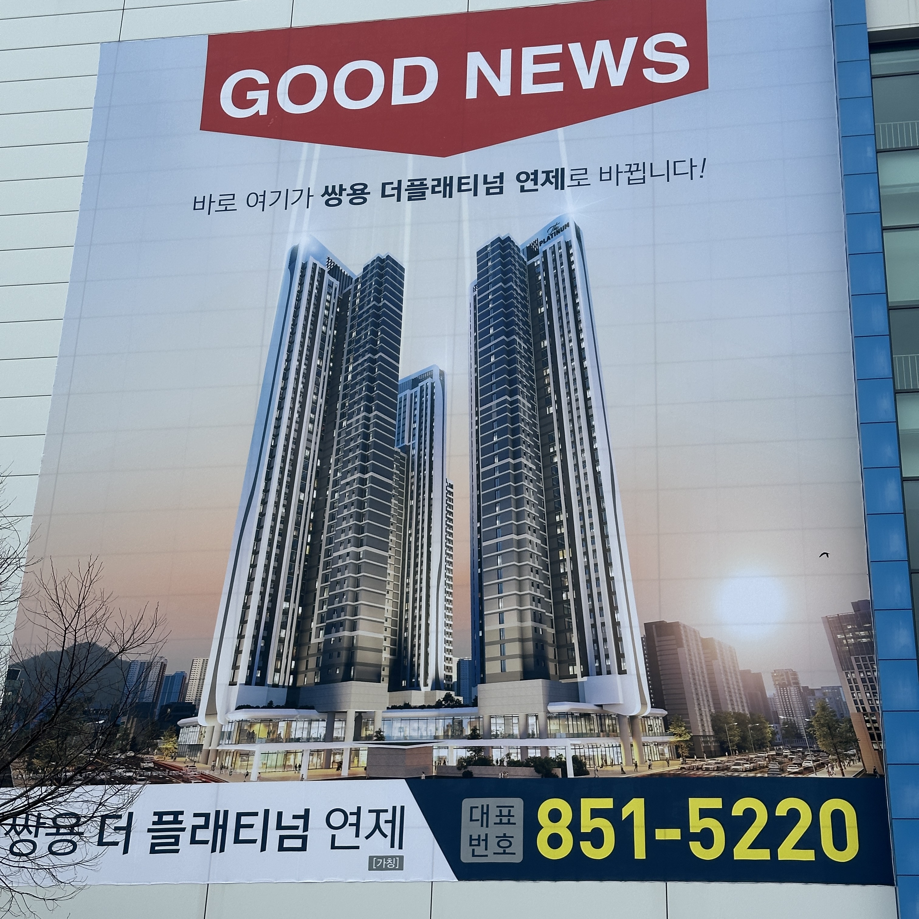 쌍용더플래티넘연제