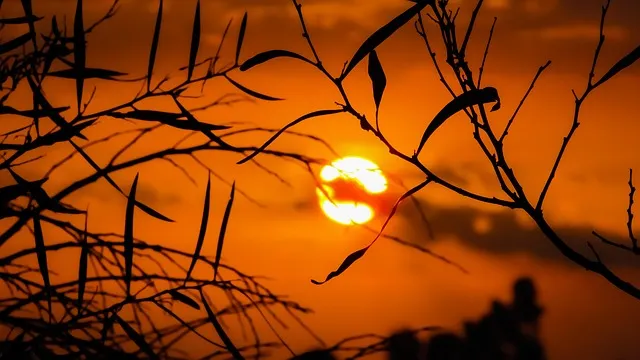 부산일보 오늘의 운세 띠별 운세와 무료 운세 이용법_4