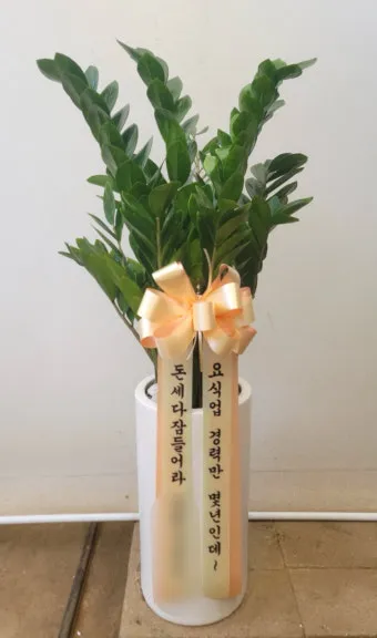 개업 축하 인사 화분 카드 문구 번창 기원 덕담 센스 있게_23