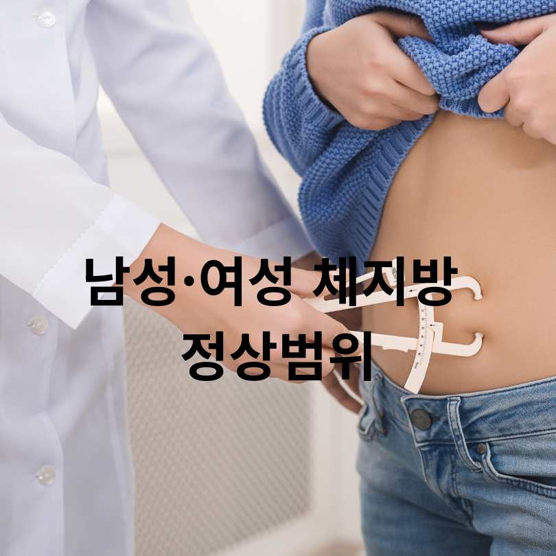 체지방량 정상범위, 남녀별 건강 수치와 관리 방법