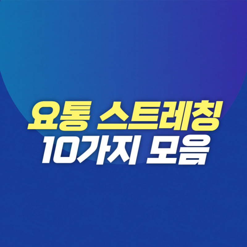 요통 스트레칭 10가지