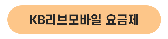 kb리브모바일