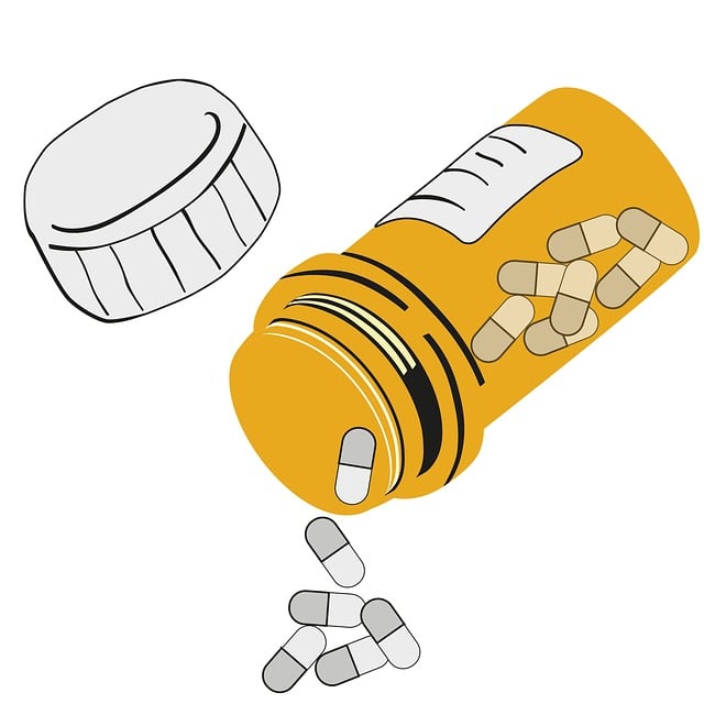 카무트 효소 6가지 효능 및 먹는 법 (+ 부작용 가격 제품 추천)