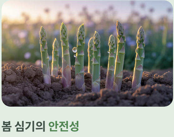 결론: 초보자에겐 &amp;#39;봄&amp;#39;이 정답인 이유